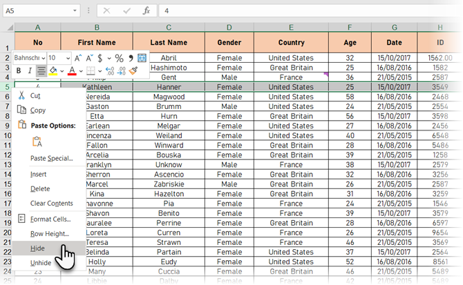 إخفاء الصفوف في Excel