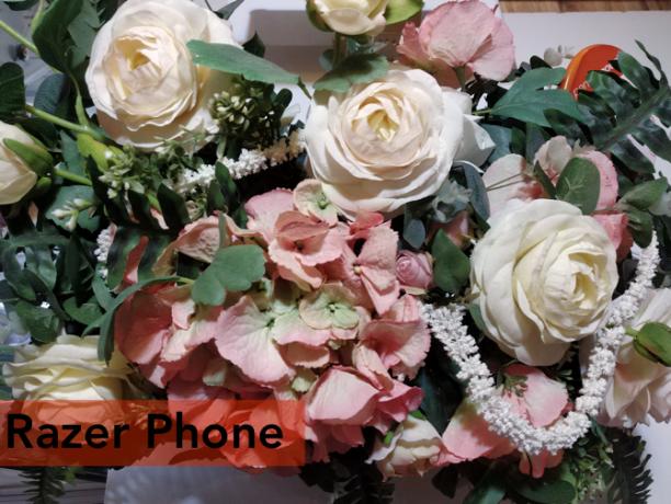 مراجعة هاتف Razer: هناك أول مرة لكل شيء كاميرا زهور الماسح 2