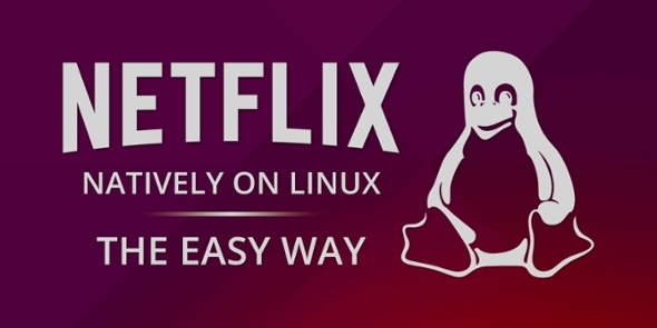 النشرة الإخبارية- netflix-on-linux-easy-way-muo