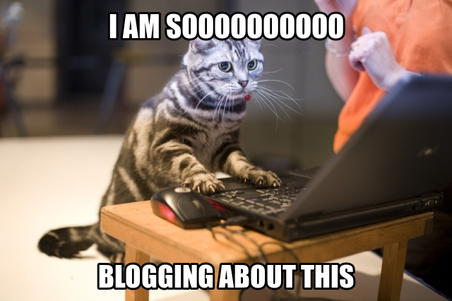 المدونات ميمي