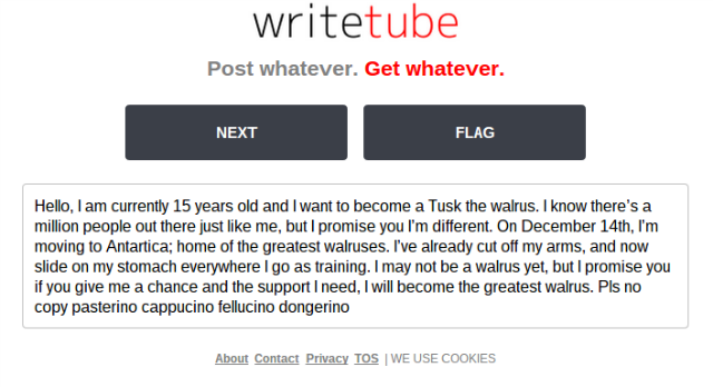 writetube الفظ