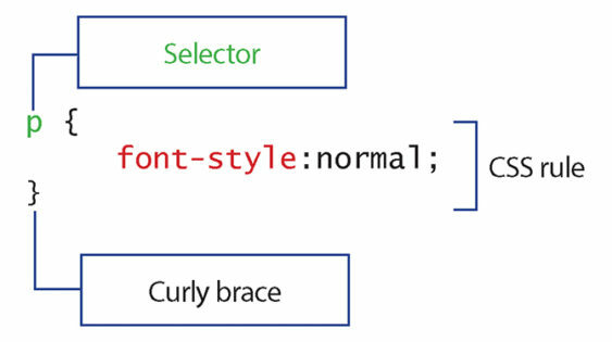 7 مهارات البرمجة يجب أن يعرف جميع مطوري مواقع الويب قواعد CSS 563x315