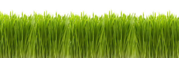 9 طرق لتصبح أكثر شعبية على Facebook [نصائح أسبوعية على Facebook] Green Grass