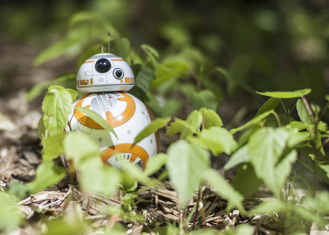 القطط القوة: مراجعة Sphero Star Wars BB-8 و Giveaway DSC 0037