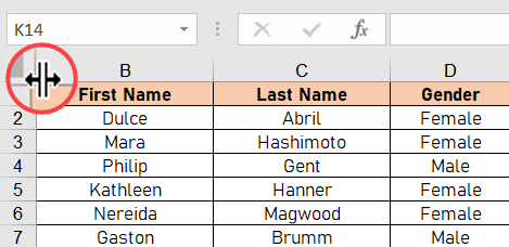 إظهار العمود الأول في Excel