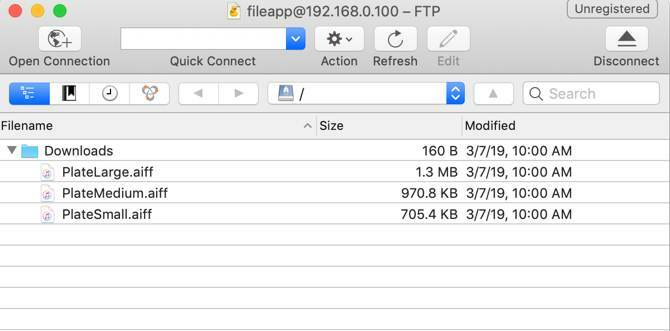 تصفح ملفات FileApp في CyberDuck