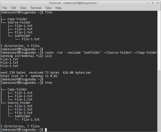 استبعاد مجلد rsync