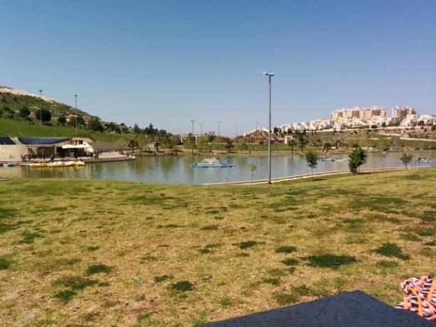 نافورة