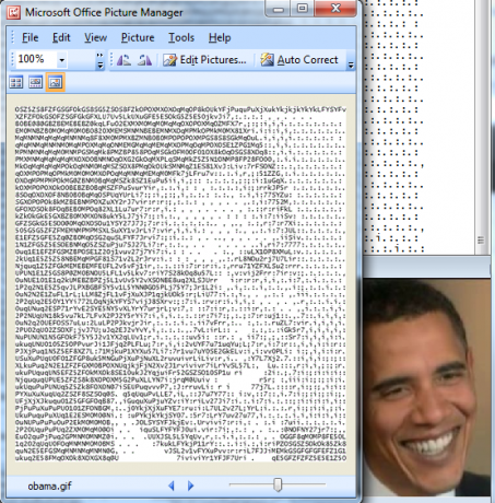 الفن ascii