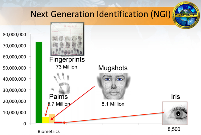 محتويات ngi