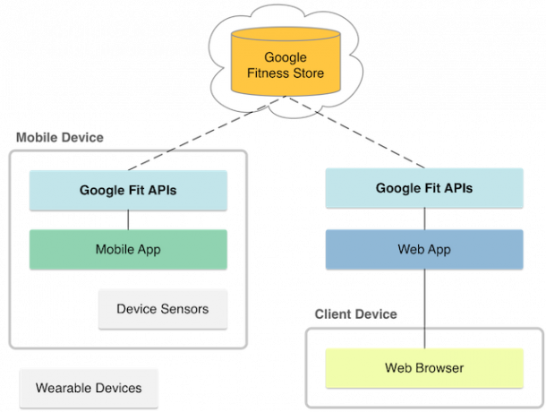 متجر googlefit للياقة البدنية