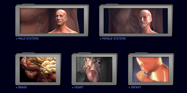 3D-anatomy-models-3dscience