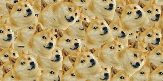 مستخدمي مجتمع Dogecoin