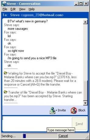 أنا أقلب قبعتي لك ، Microsoft NetMeeting msn4