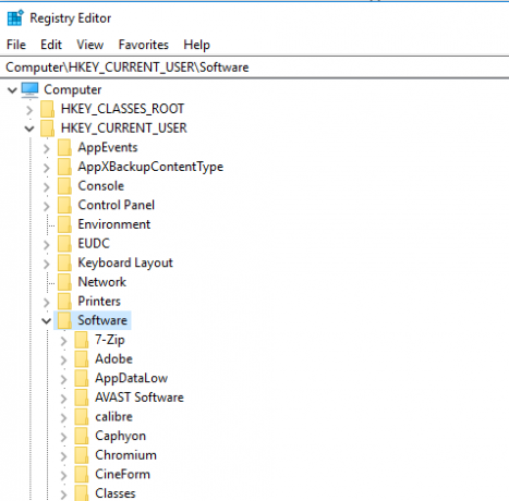 تسجيل Windows HKEY_Current_User / Software