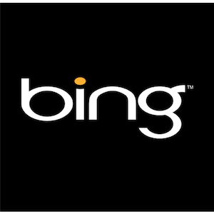 Bing يقدم بحثًا بلا كتابة - هل يعمل؟ [أخبار] بنج 1