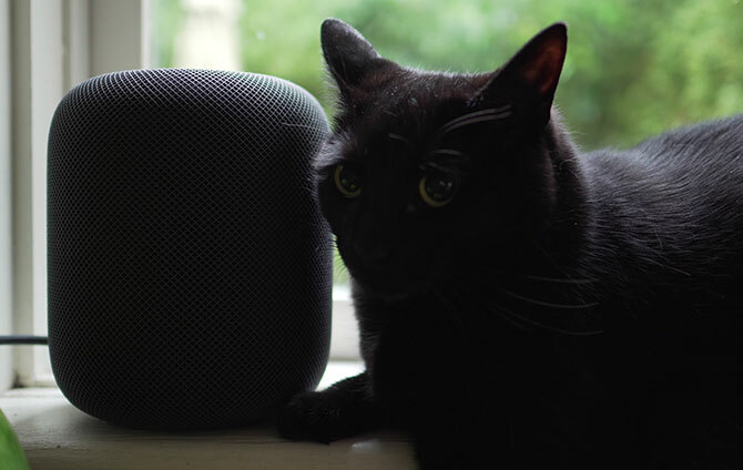 HomePod مع القطة السوداء