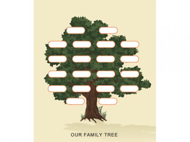 قالب شجرة العائلة