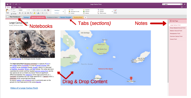 لقطة شاشة لمثال مؤسسة OneNote