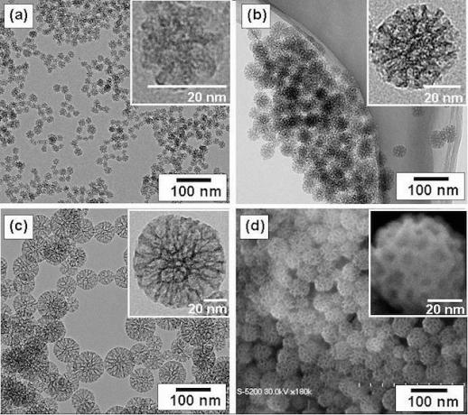 googlepill-nano-particles