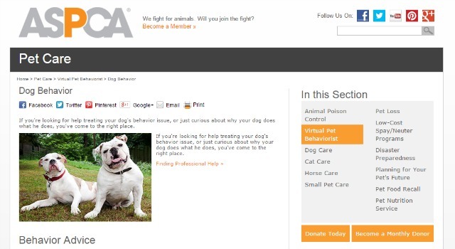 موقع سلوك الحيوانات الأليفة ASPCA